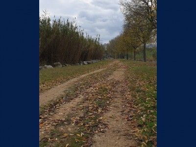 Marco Bernal Callero