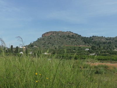 Luis Manuel  Rubio Parron