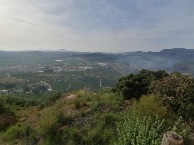 Luis Manuel  Rubio Parron