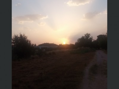 costache  ifrosie
