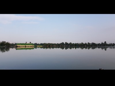 Alejandro  Peláez Velázquez 