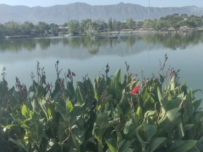 Liza Escamilla Rodríguez
