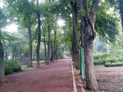 Gabriela  Oble Ortíz 