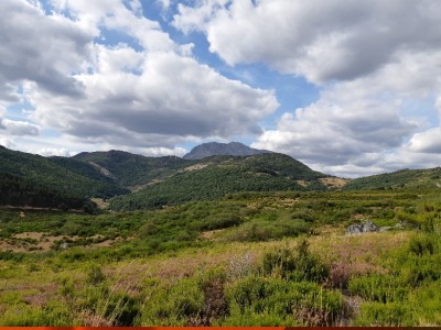 Isabel Carcaboso Mayordomo