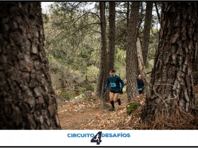Francisco Javier  Rojo  Guzmán 