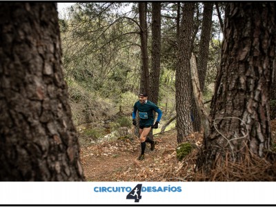 Francisco Javier  Rojo  Guzmán 