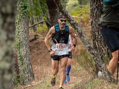 Francisco Javier  Rojo  Guzmán 