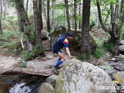 Francisco Javier  Rojo  Guzmán 