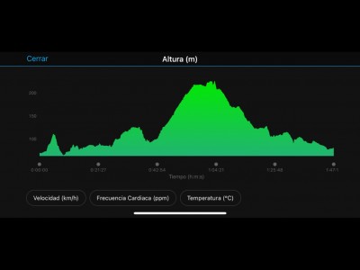 Carlos Aarón  Perez Castillo