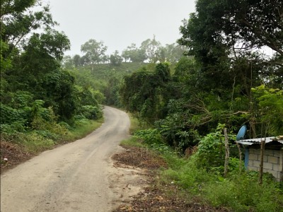 Carlos Aarón  Perez Castillo