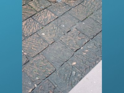 Diana Carolina Castellanos Celis