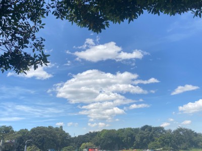 FRANCIA MILENA MUÑOZ JARAMILLO