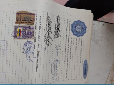 Laura Remolina Rodríguez