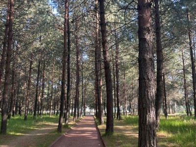 Maria Lorena de las Mercedes  Benitez Zamudio