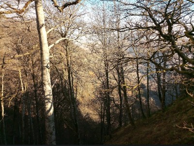 José Luis Urra Itoiz