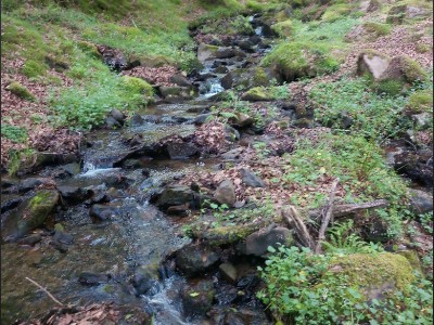 José Luis Urra Itoiz