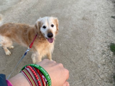 Marta Sánchez Jiménez