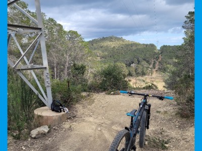 Romina Soledad  Neto 