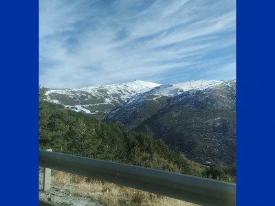 Edelweiss  de la Torre