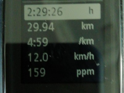 MIQUEL ANGEL MORENO DURAN