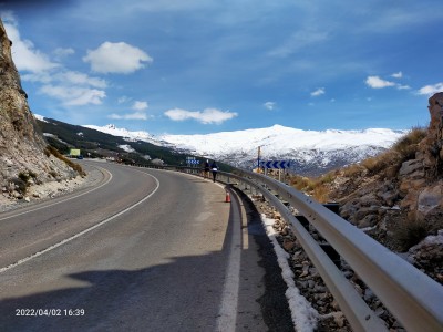 Fernando Guillen Suita 