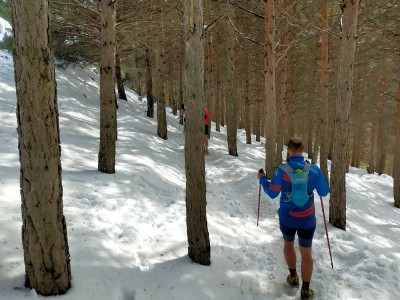 Fernando Guillen Suita 