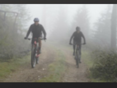 Mikel MICHELENA EMBIL