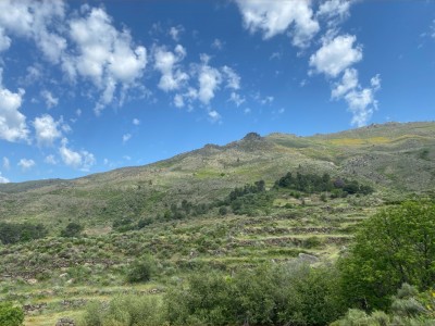 Oliverio  Moreno Roncero