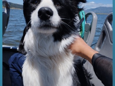 Camilo Andrés Lombana González