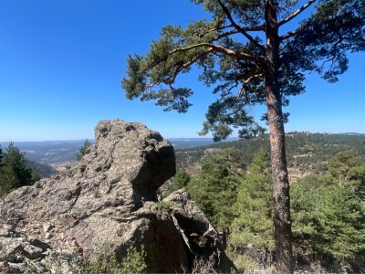 Francisco  Fernandez Fernandez