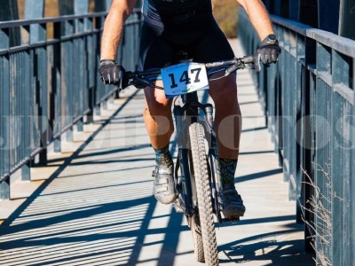 Javier   Hernandez Sanchez 