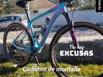 Miguel  Cortés Ayuso