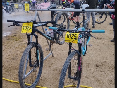 Miguel  Cortés Ayuso