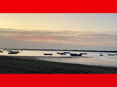 antonio  Rojo Millan 