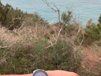 Maria Rosa Niubó Sala