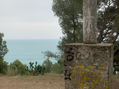 Maria Rosa Niubó Sala