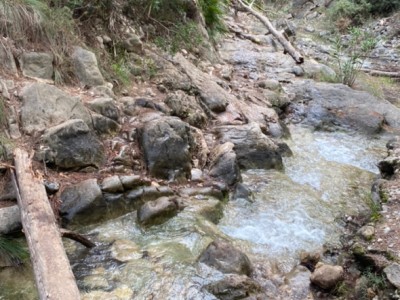 Francisca Gómiz Ballesteros