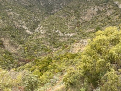 Francisca Gómiz Ballesteros