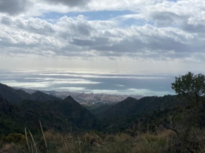 Francisca Gómiz Ballesteros