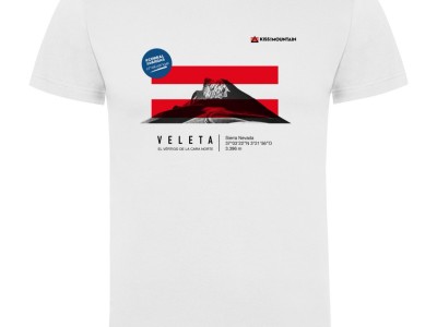 REYNALDO  VARGAS CORRAL