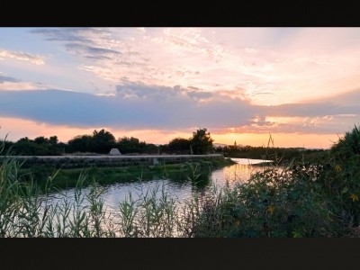 Salva Colechà Franco