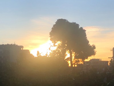 Victor Daniel Genis Saez