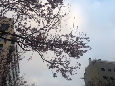 Victor Daniel Genis Saez