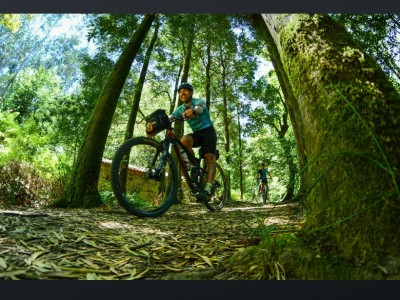 FRANCISCO JAVIER MORALES