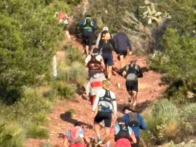 Marta Ferrando Gimeno