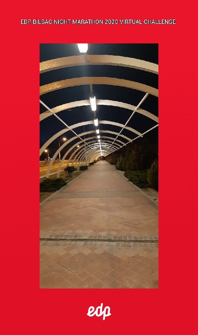 Francisco Javier Pedraza Verdugo