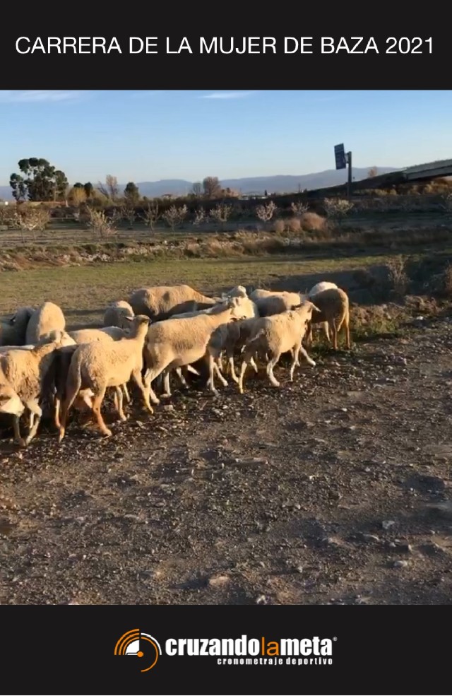 Pablo Sanchez Rodríguez