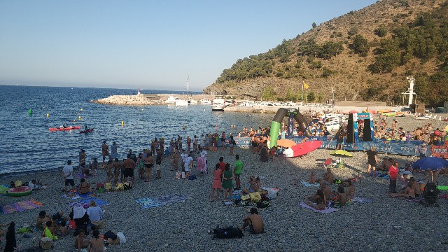 Gustavo Alcala Ordoñez