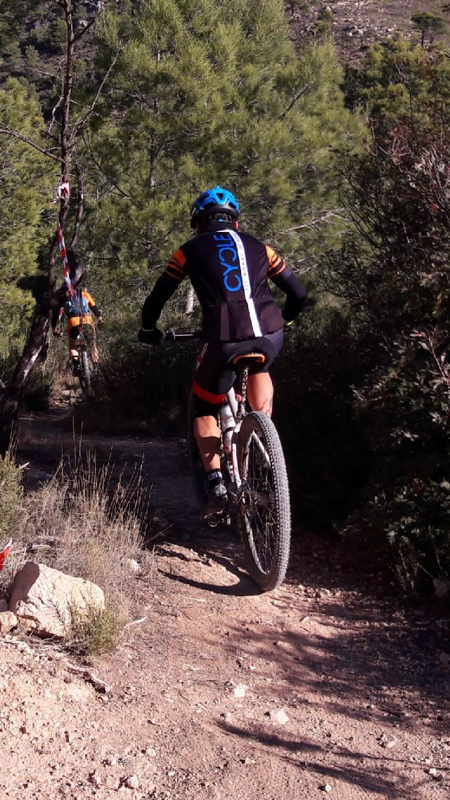 David  Altet Rodriguez