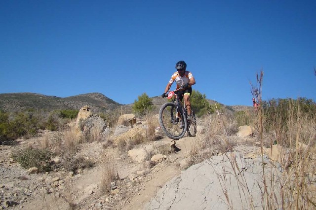 David  Altet Rodriguez